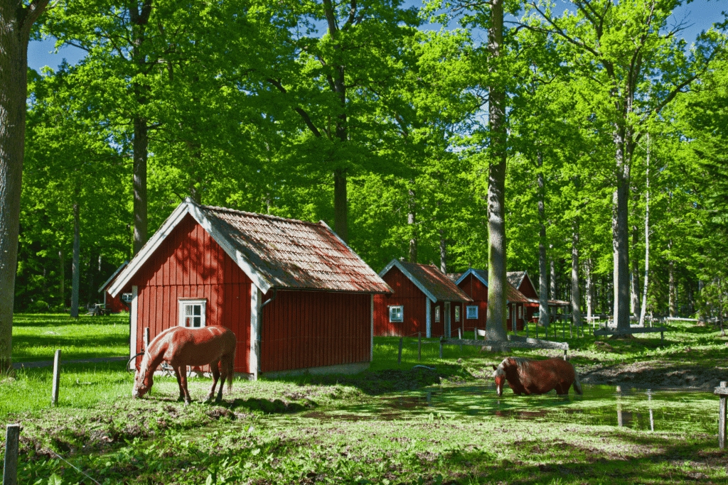 why Swedish cottages are red