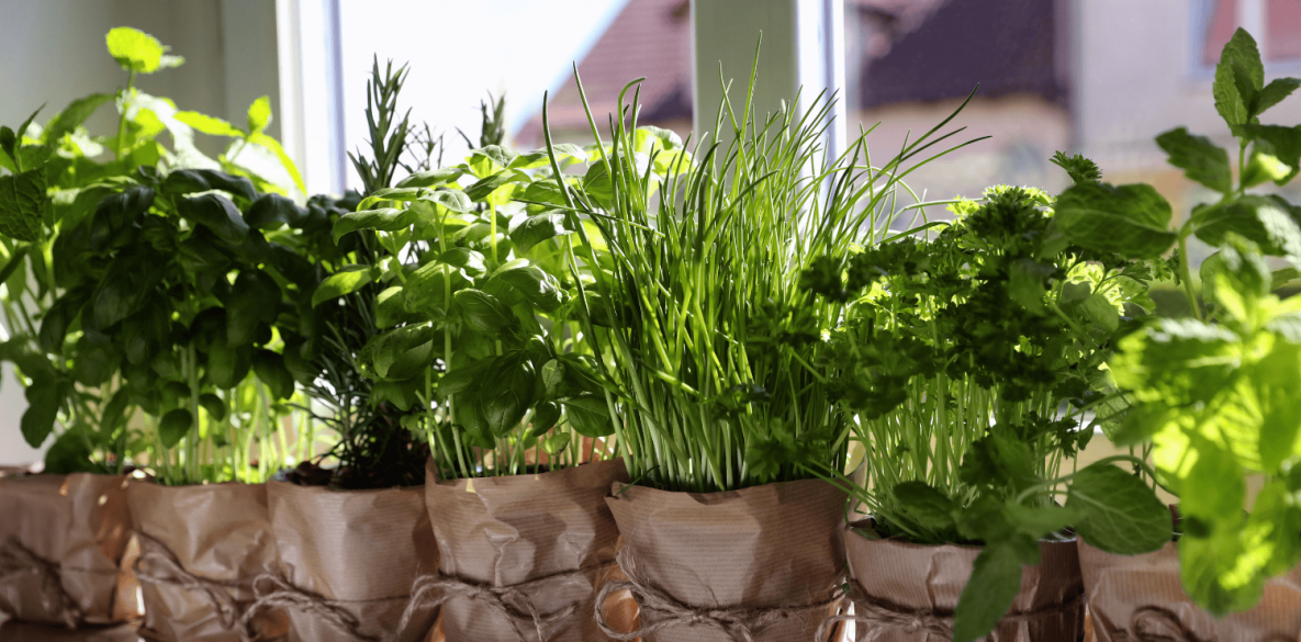 aromatics