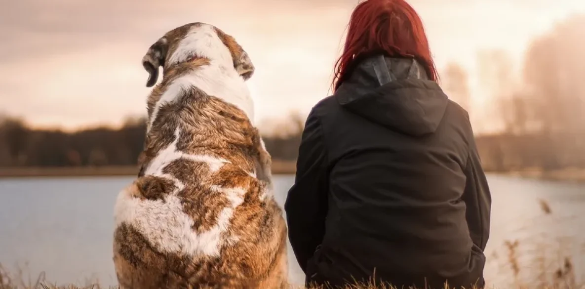 pet-insurance